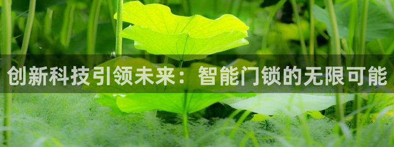 富联娱乐app官方下载苹果版：创新科技引领未来：智能门锁的无