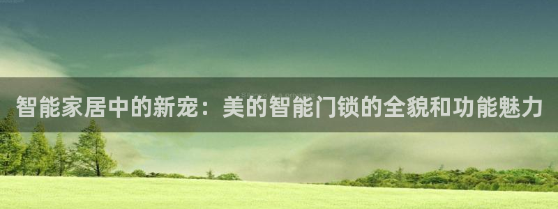 富联娱乐招商主管是谁呀：智能家居中的新宠：美的智能门锁的全貌