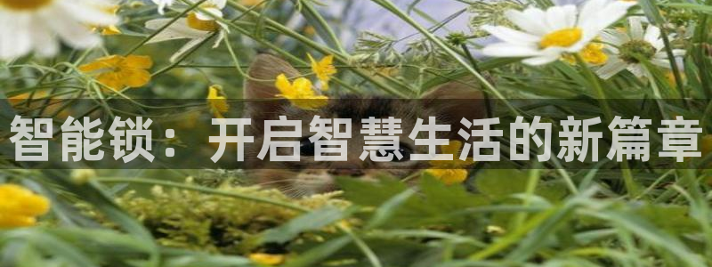 富联娱乐总裁简介图片：智能锁：开启智慧生活的新篇章