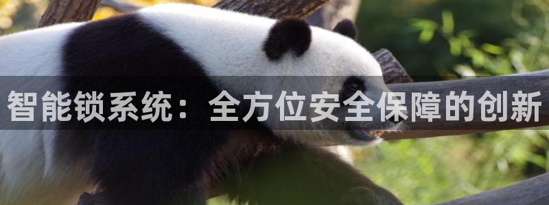 富联娱乐总代理是谁呀：智能锁系统：全方位安全保障的创新