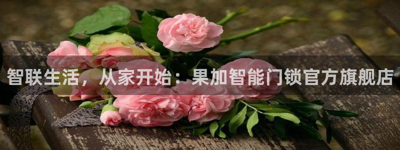 富联娱乐招商豪7o777：智联生活，从家开始：果加智能门锁官