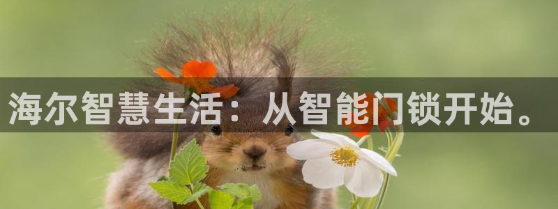 富联娱乐总裁简介图片：海尔智慧生活：从智能门锁开始。