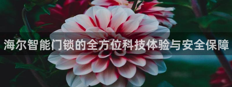 富联娱乐总代理电话地址：海尔智能门锁的全方位科技体验与安全保