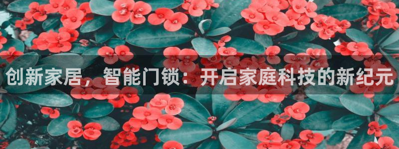 富联娱乐平台怎么样知乎：创新家居，智能门锁：开启家庭科技的新