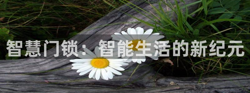 富联娱乐来956k.com靠谱：智慧门锁：智能生活的新纪元