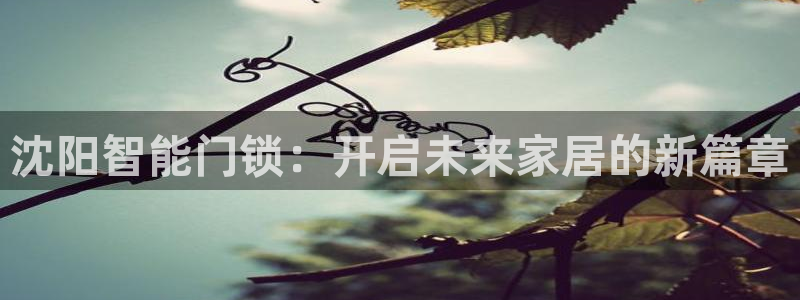 富联娱乐注册认判官333OO：沈阳智能门锁：开启未来家居的新