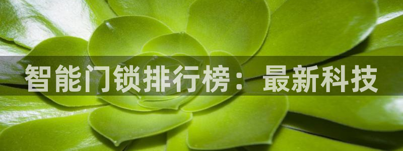 富联2娱乐贴吧最新消息：智能门锁排行榜：最新科技