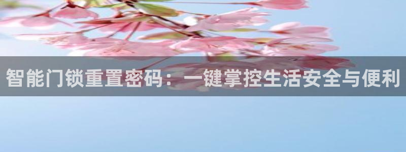 富联娱乐女团排名多少名：智能门锁重置密码：一键掌控生活安全与