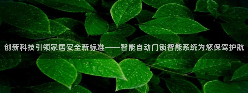 天系列富联娱乐：创新科技引领家居安全新标准——智能自动门锁智