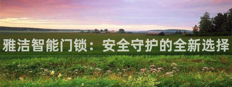 富联娱乐主管紧判官333OO：雅洁智能门锁：安全守护的全新选