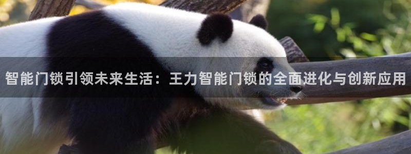 富联娱乐凡六七五一38：智能门锁引领未来生活：王力智能门锁的