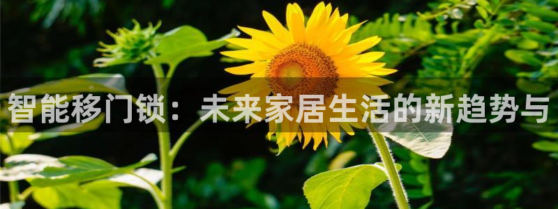 富联娱乐在线官网：智能移门锁：未来家居生活的新趋势与