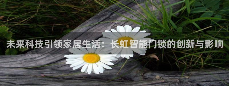 富联娱乐地址查询系统：未来科技引领家居生活：长虹智能门锁的创