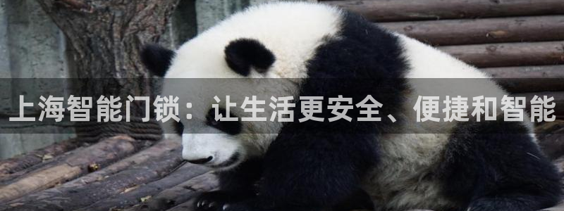 富联娱乐招商型判官333OO：上海智能门锁：让生活更安全、便