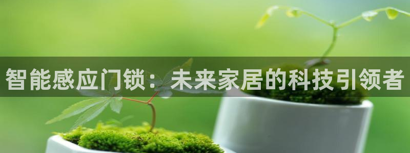 富联娱乐代理是谁做的呀：智能感应门锁：未来家居的科技引领者
