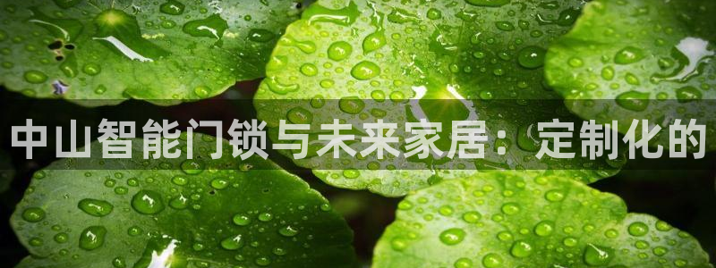 富联娱乐在线注册链接下载安装：中山智能门锁与未来家居：定制化