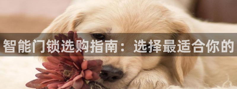 嘉峪关富联娱乐平台电话：智能门锁选购指南：选择最适合你的