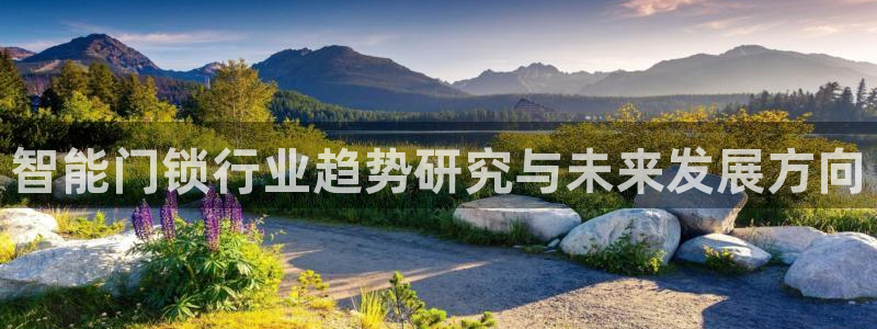 富联娱乐官方app下载：智能门锁行业趋势研究与未来发展方向