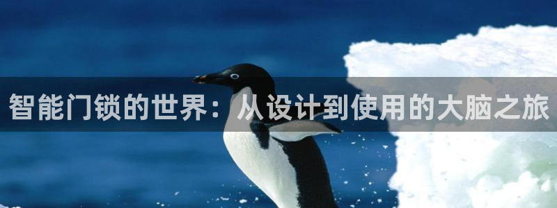 富联娱乐测速登录失败：智能门锁的世界：从设计到使用的大脑之旅