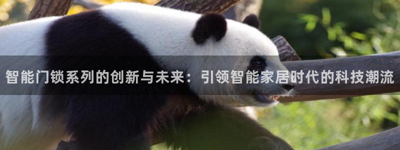 富联娱乐登录测速软件：智能门锁系列的创新与未来：引领智能家居