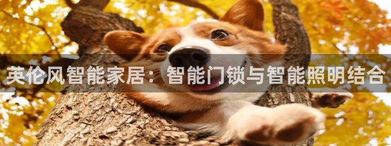 富联娱乐分红：英伦风智能家居：智能门锁与智能照明结合