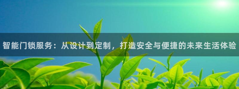富联娱乐招商包判官333OO：智能门锁服务：从设计到定制，打