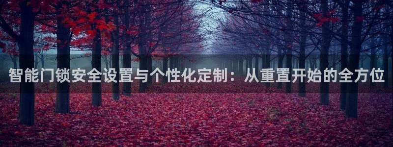 富联娱乐发展历程简述：智能门锁安全设置与个性化定制：从重置开