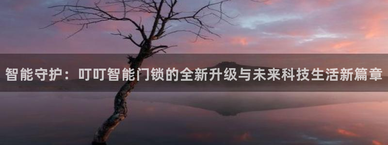 富联娱乐招商地判官333OO：智能守护：叮叮智能门锁的全新升