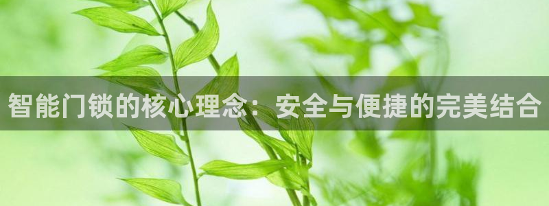 富联娱乐主管减判官333OO：智能门锁的核心理念：安全与便捷