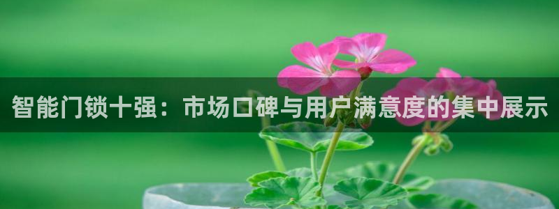 富联娱乐找u997.cn凤凰：智能门锁十强：市场口碑与用户满