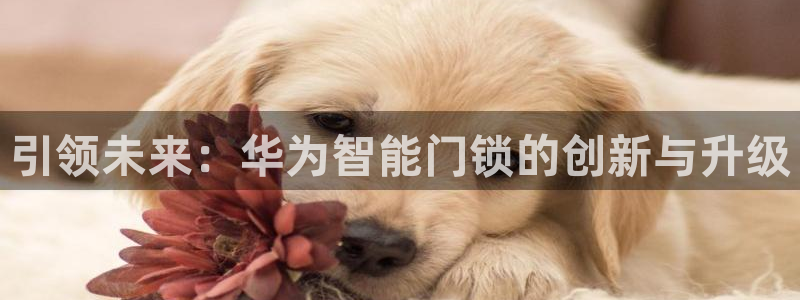富联娱乐主管下判官333OO：引领未来：华为智能门锁的创新与
