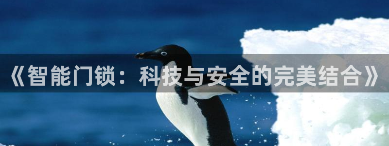 富联娱乐首页官网登录：《智能门锁：科技与安全的完美结合》