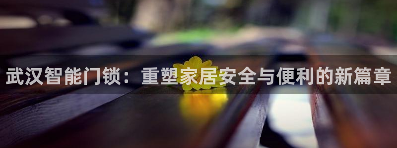 富联娱乐下载免费版安装：武汉智能门锁：重塑家居安全与便利的新