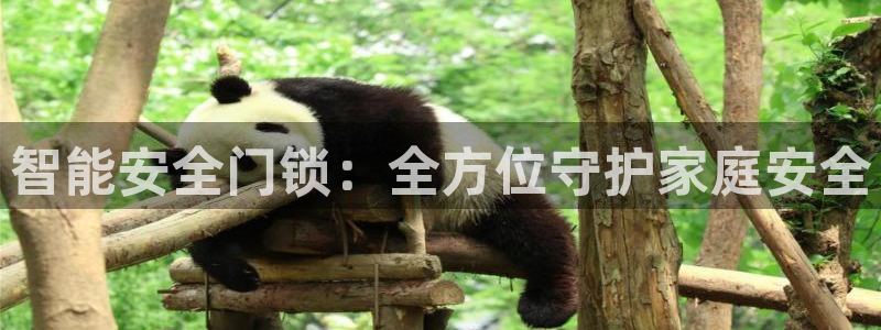 富联娱乐地址查询官网：智能安全门锁：全方位守护家庭安全