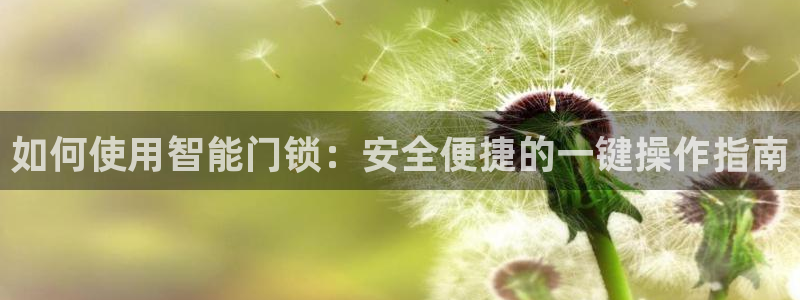 富联娱乐开户条件：如何使用智能门锁：安全便捷的一键操作指南