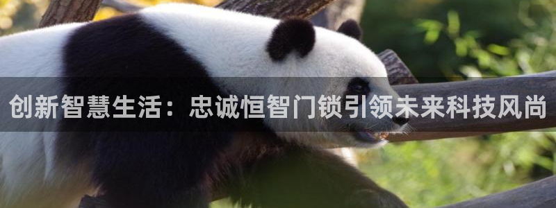 富联娱乐主管是谁判官333OO：创新智慧生活：忠诚恒智门锁引
