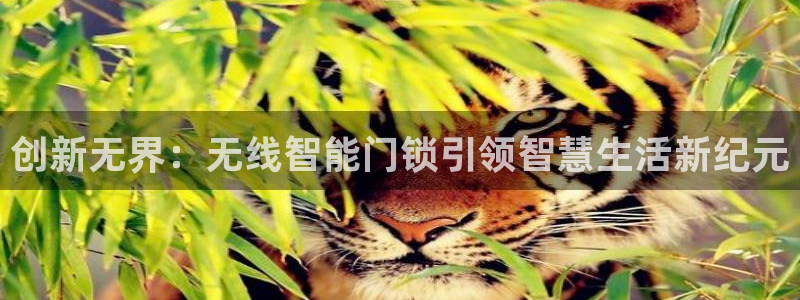 富联娱乐反究7276O：创新无界：无线智能门锁引领智慧生活新