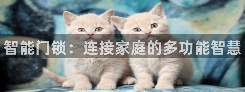 富联娱乐主管留判官333OO：智能门锁：连接家庭的多功能智慧