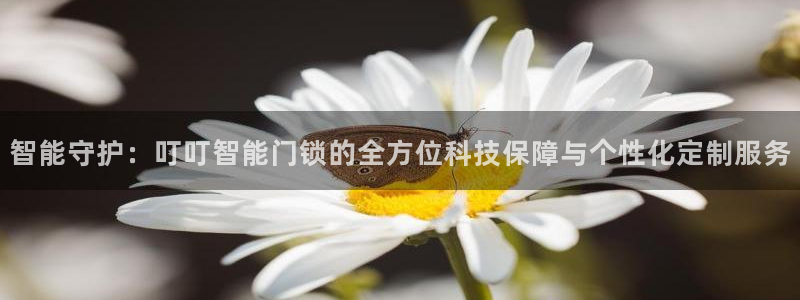 富联娱乐app官方下载：智能守护：叮叮智能门锁的全方位科技保