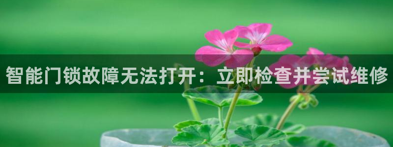 富联娱乐招商通判官333OO：智能门锁故障无法打开：立即检查