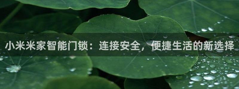 富联2娱乐贴吧官网下载：小米米家智能门锁：连接安全，便捷生活
