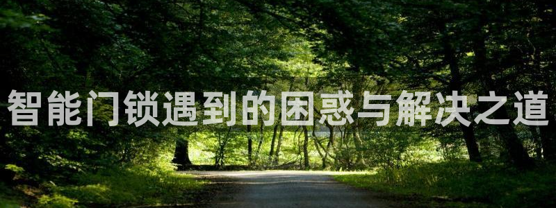 富联娱乐忘记账号密码：智能门锁遇到的困惑与解决之道