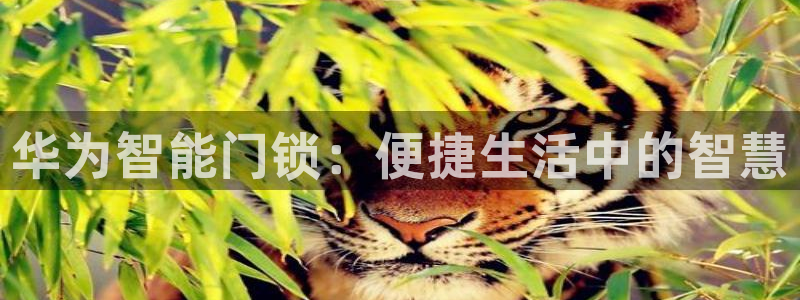 富联娱乐总代理怎么样啊：华为智能门锁：便捷生活中的智慧