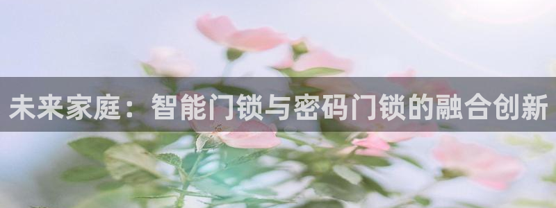 富联娱乐招商会判官333OO：未来家庭：智能门锁与密码门锁的