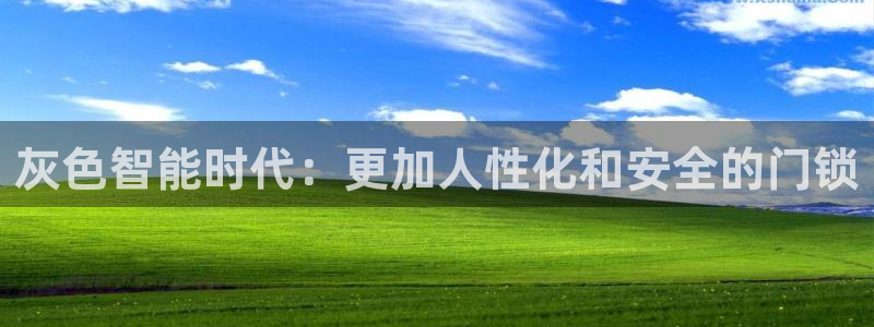 富联娱乐平台登录不上：灰色智能时代：更加人性化和安全的门锁