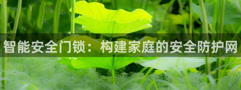 富联娱乐乃67五壹叁八：智能安全门锁：构建家庭的安全防护网