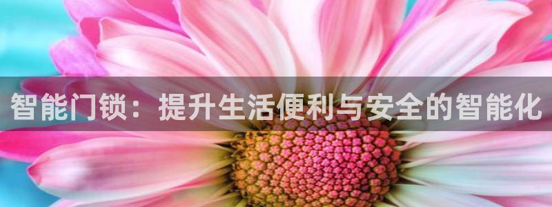 富联娱乐代理是谁开的：智能门锁：提升生活便利与安全的智能化