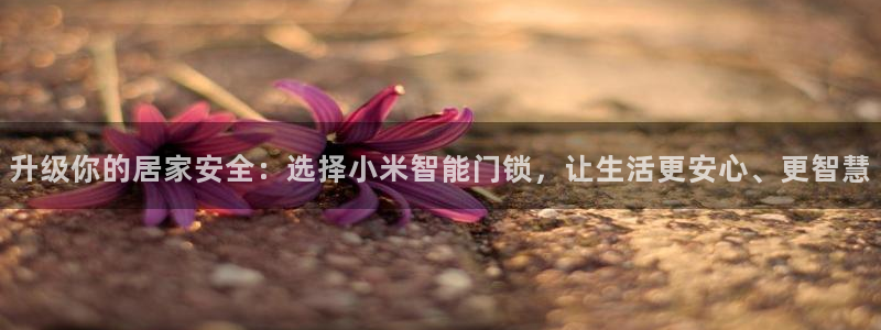 富联娱乐平台开户：升级你的居家安全：选择小米智能门锁，让生活