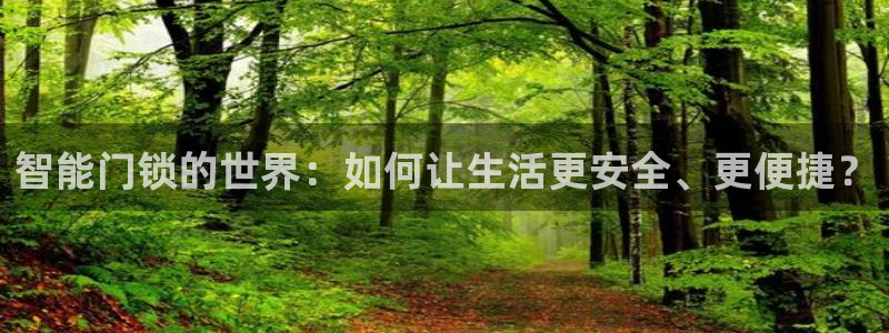 富联娱乐测速地址查询：智能门锁的世界：如何让生活更安全、更便