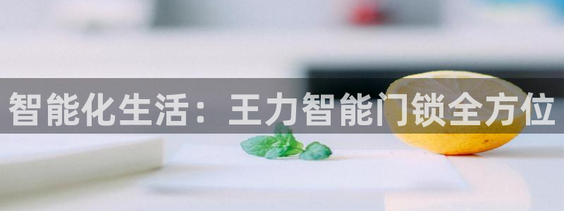 富联娱乐主管会判官333OO：智能化生活：王力智能门锁全方位